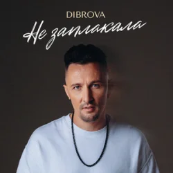 Pochette DIBROVA - Не заплакала