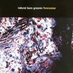 Pochette Natural Born Grooves - Forerunner (Future Breeze Mix)