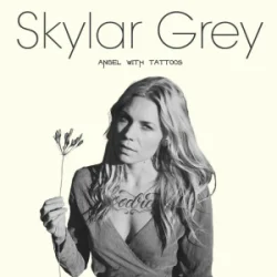 Pochette Skylar Grey - You Make It New