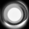 Pochette Disclosure - Moonlight Disclosure - Moonlight
