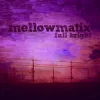 Pochette Mellowmatix - I Can Fly Mellowmatix - I Can Fly