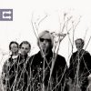 Pochette Tom Petty - Accused Of Love Tom Petty - Accused Of Love
