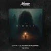 Pochette D.HASH & ILYA SECHKIN & BORDERMIND - The Riddle D.HASH & ILYA SECHKIN & BORDERMIND - The Riddle