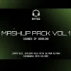Pochette REYA & Polygraph - Paranoia (Mytko Mashup) REYA & Polygraph - Paranoia (Mytko Mashup)