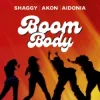 Pochette Shaggy & Akon & Aidonia - Boom Body Shaggy & Akon & Aidonia - Boom Body