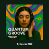 Pochette Vexlum - Quantum Groove 007 Vexlum - Quantum Groove 007