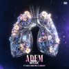 Pochette Mark With A K feat. Jelle van Dael & Madoc - Adem Mark With A K feat. Jelle van Dael & Madoc - Adem