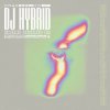 Pochette DJ Hybrid - Arcadia DJ Hybrid - Arcadia