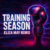 Pochette Dua Lipa - Training Season (Eliza May Remix) Dua Lipa - Training Season (Eliza May Remix)