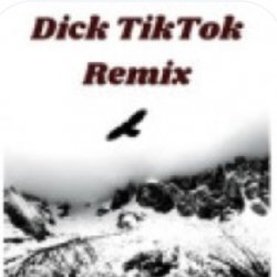 Pochette unknown - Тык дык тыг дык шабаман Байден Байден Байден (tik tok)