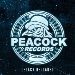 Pochette Dr. Peacock & Hyrule War - Imagination (Original Mix)