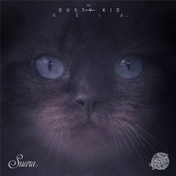 Pochette Dusty Kid - Feelers (Original Mix)