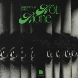 Pochette Hardwell & Dyro - Not Alone