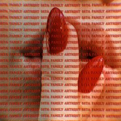 Pochette 5sta Family - Антидот