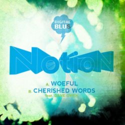 Pochette Notion - Woeful