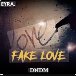 Pochette DNDM - Fake Love