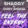 Pochette Shaggy & Busy Signal - Feel The Energy Shaggy & Busy Signal - Feel The Energy