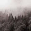 Pochette Y.K. Music - У Тумані Y.K. Music - У Тумані