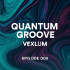 Pochette Vexlum - Quantum Groove 009 Vexlum - Quantum Groove 009