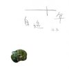 Pochette Chen Li - Various Chen Li - Various