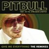 Pochette Pitbull - Give Me Everything (Aizzo Remix) Pitbull - Give Me Everything (Aizzo Remix)
