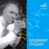 Pochette Владимир Трошин - Новогодняя песня Владимир Трошин - Новогодняя песня
