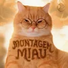 Pochette Lenar - Montagem Miau Lenar - Montagem Miau