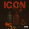 Pochette MIKOLAS - ICON MIKOLAS - ICON