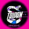 Pochette Тайпан feat. HYDY & Neverno - ММДенс Тайпан feat. HYDY & Neverno - ММДенс