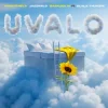 Pochette JAZZWRLD & Thukuthela & Babalwa M - uValo (feat. Dlala Thukzin) JAZZWRLD & Thukuthela & Babalwa M - uValo (feat. Dlala Thukzin)