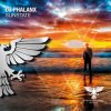 Pochette DJ Phalanx - Sunstate (Extended Mix) DJ Phalanx - Sunstate (Extended Mix)