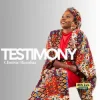 Pochette Choisie Basolua - Testimony Choisie Basolua - Testimony