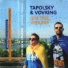 Pochette DJ Tapolsky & VovKING feat. Gloria - Get In To My Skype DJ Tapolsky & VovKING feat. Gloria - Get In To My Skype