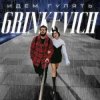 Pochette Grinkevich - Лёд Grinkevich - Лёд