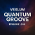 Pochette Vexlum - Quantum Groove 010