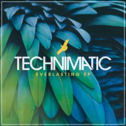 Pochette Technimatic - Not Far To Go (Mixed)