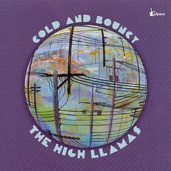 Pochette The High Llamas - Literature Is Fluff