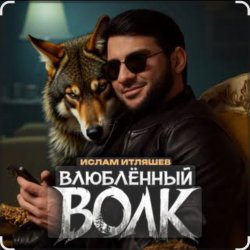 Pochette Ислам Итляшев - Влюблённый волк