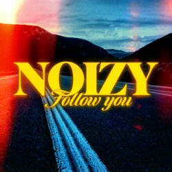 Pochette Noizy - Follow You