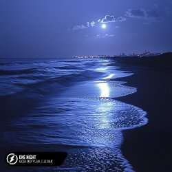 Pochette Alosa, Booty Leak, Elle Blue - One Night