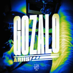 Pochette Ariis - Gozalo (Slowed)
