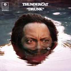 Pochette Thundercat - Friend Zone