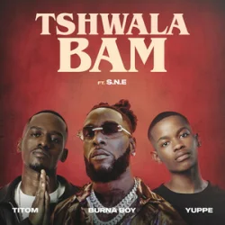 Pochette TitoM & Yuppe - Tshwala Bam [feat. S.N.E]