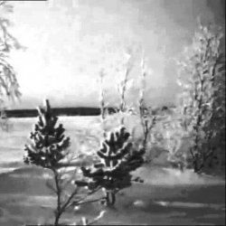 Pochette Валентина Дворянинова - Песенка про зиму