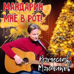 Pochette Вячеслав Мясников - Мандарин мне в рот!