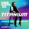 Pochette David Guetta & Sia - Titanium (MORTEN Future Rave Remix) David Guetta & Sia - Titanium (MORTEN Future Rave Remix)
