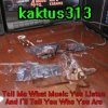 Pochette kaktus313 - Gun kaktus313 - Gun