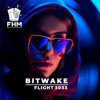 Pochette Bitwake - Flight 3033 Bitwake - Flight 3033
