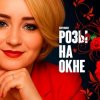 Pochette SEVENROSE - Розы на окне SEVENROSE - Розы на окне