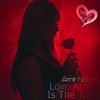 Pochette Amir Nazari - Love Alone Is The True Amir Nazari - Love Alone Is The True